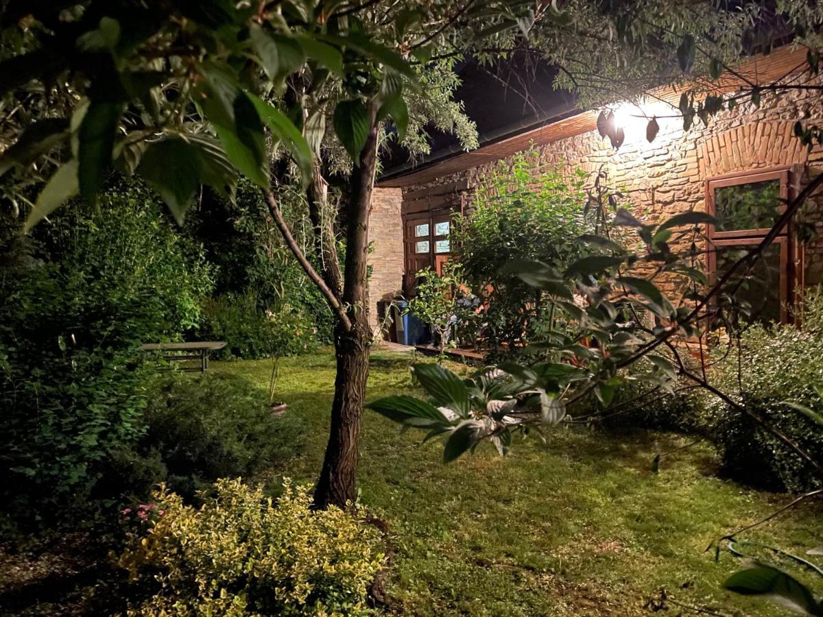 Kohaz Apartman Apartment Veszprem Bagian luar foto